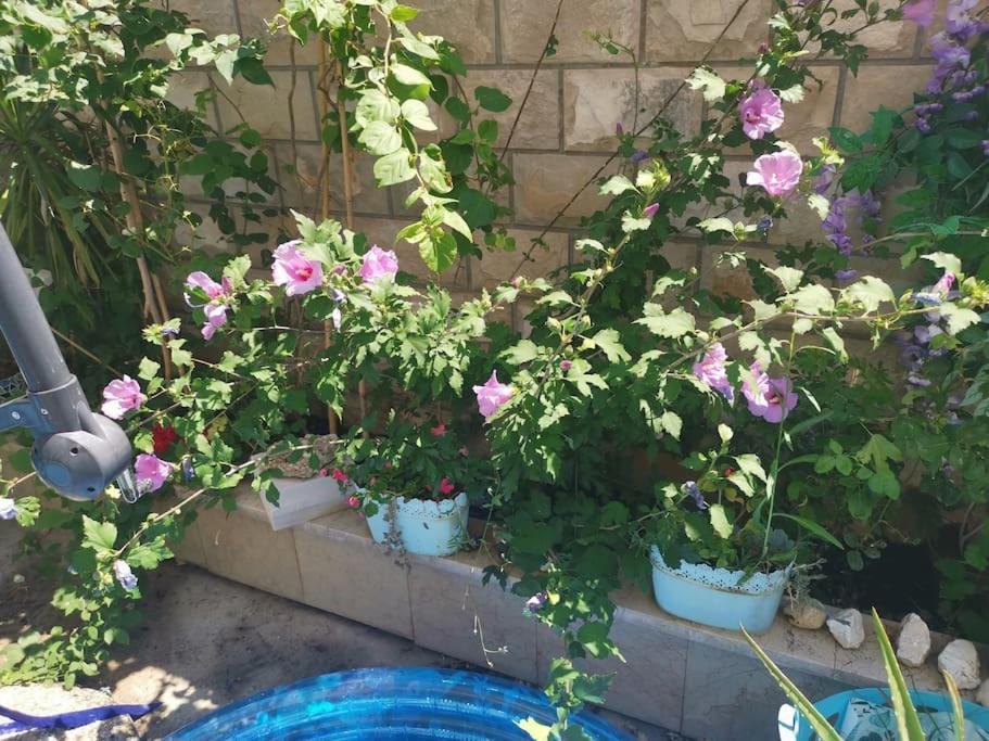 Makarska Blue Oasis Apartman 2-6 Εξωτερικό φωτογραφία
