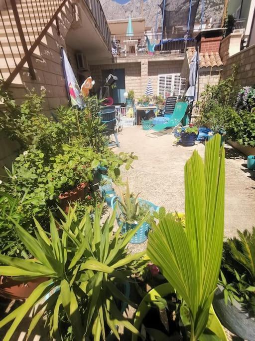 Makarska Blue Oasis Apartman 2-6 Εξωτερικό φωτογραφία