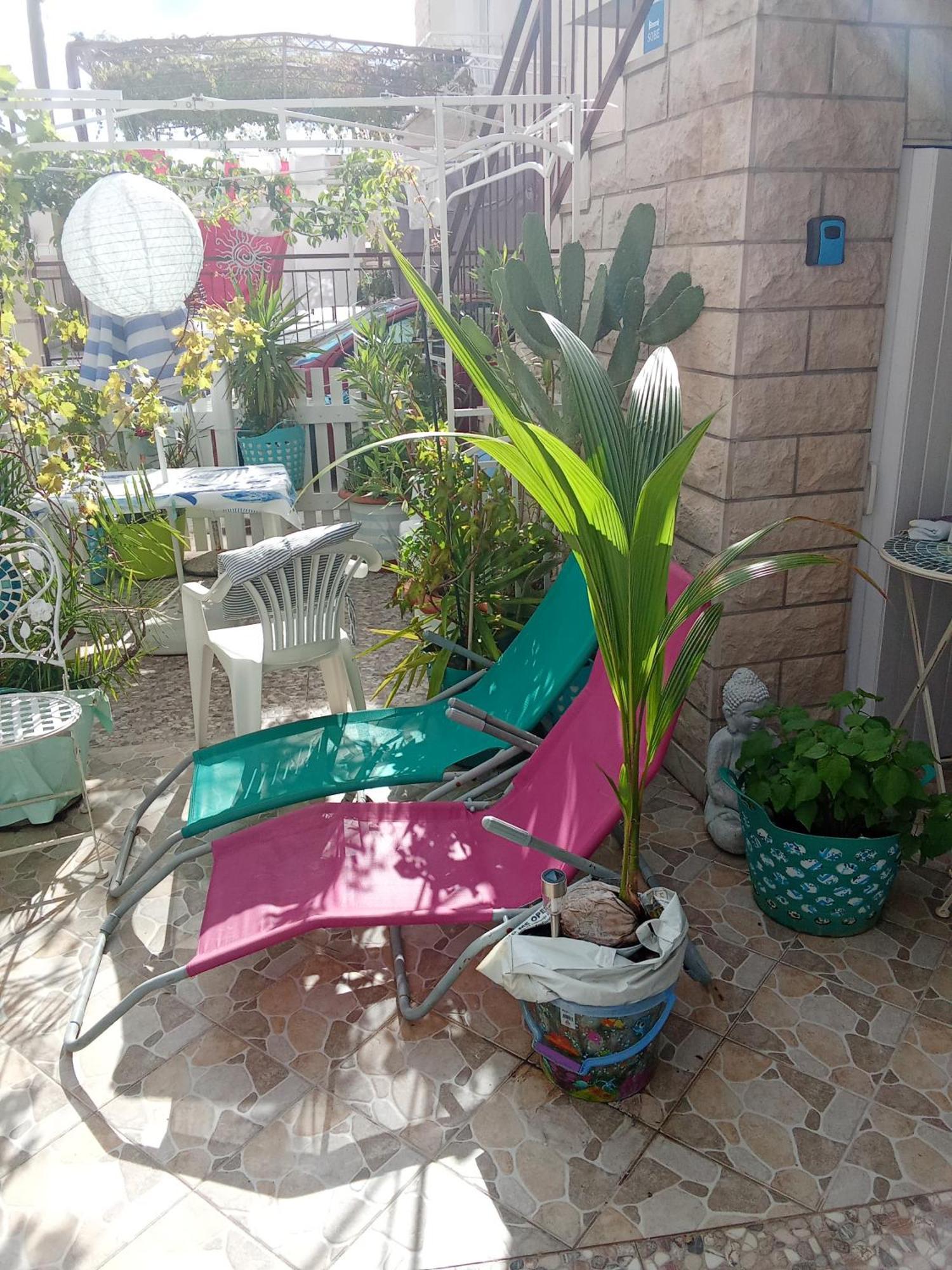 Makarska Blue Oasis Apartman 2-6 Εξωτερικό φωτογραφία