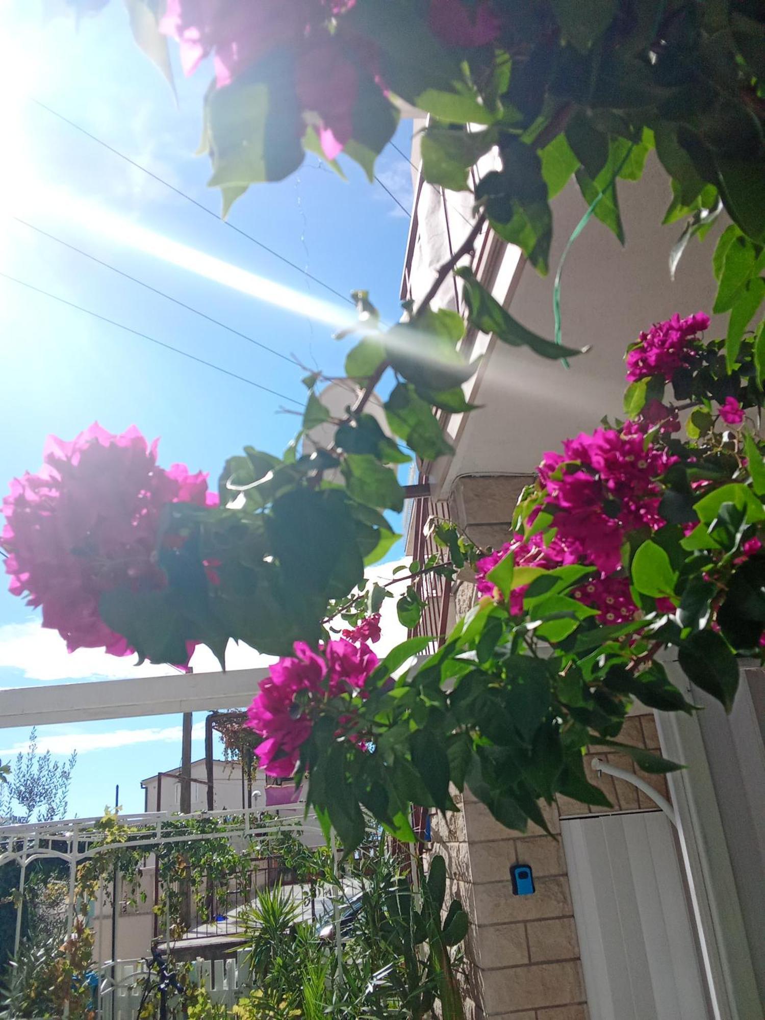 Makarska Blue Oasis Apartman 2-6 Εξωτερικό φωτογραφία